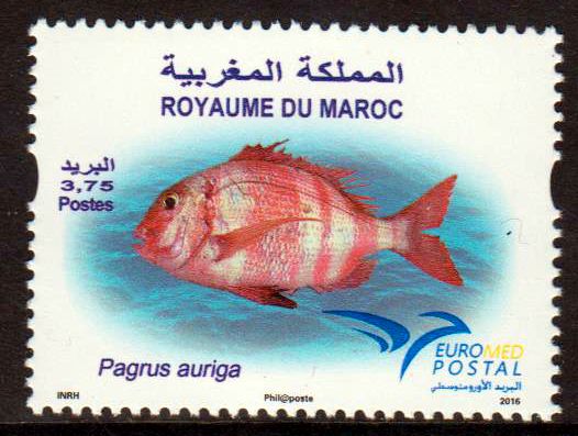 Euromed 2016, Fisch