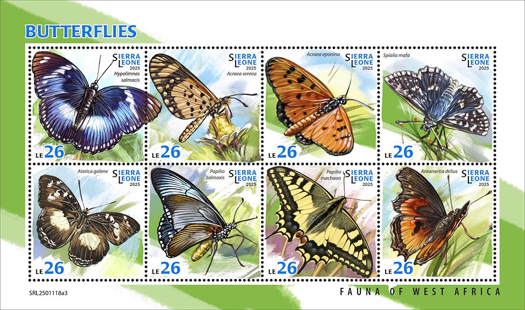 Schmetterlinge 2025