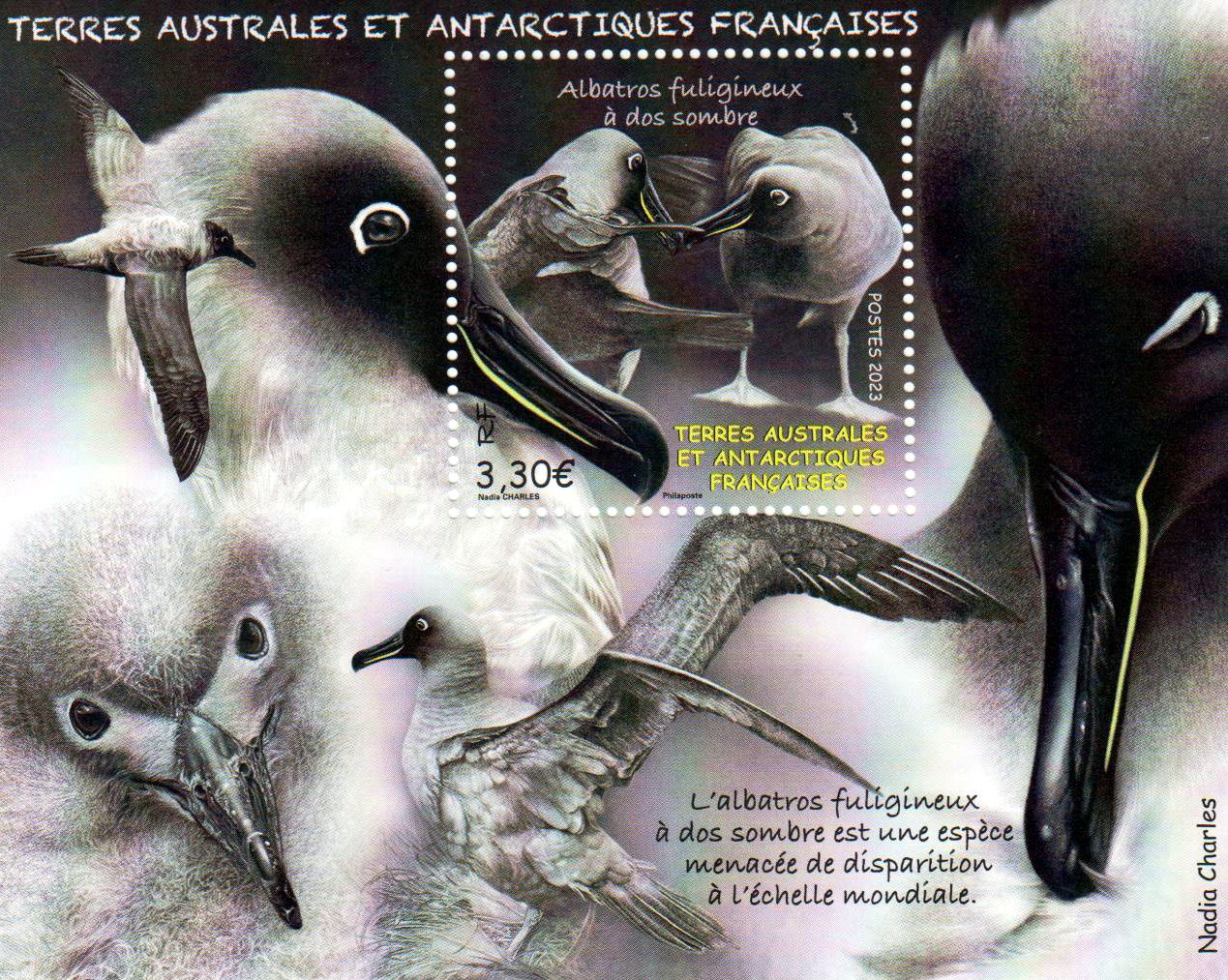 Block: Albatros fuligineux 2023