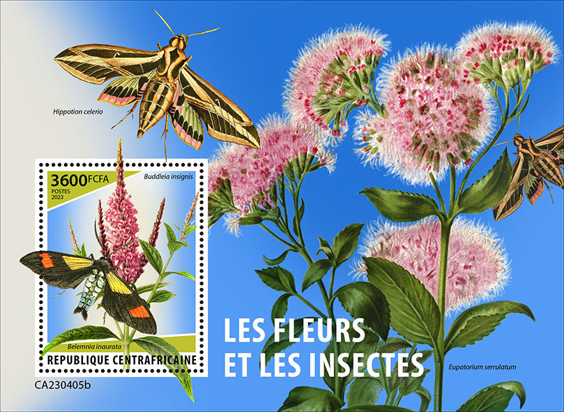 Block: Blumen und Insekten 2023
