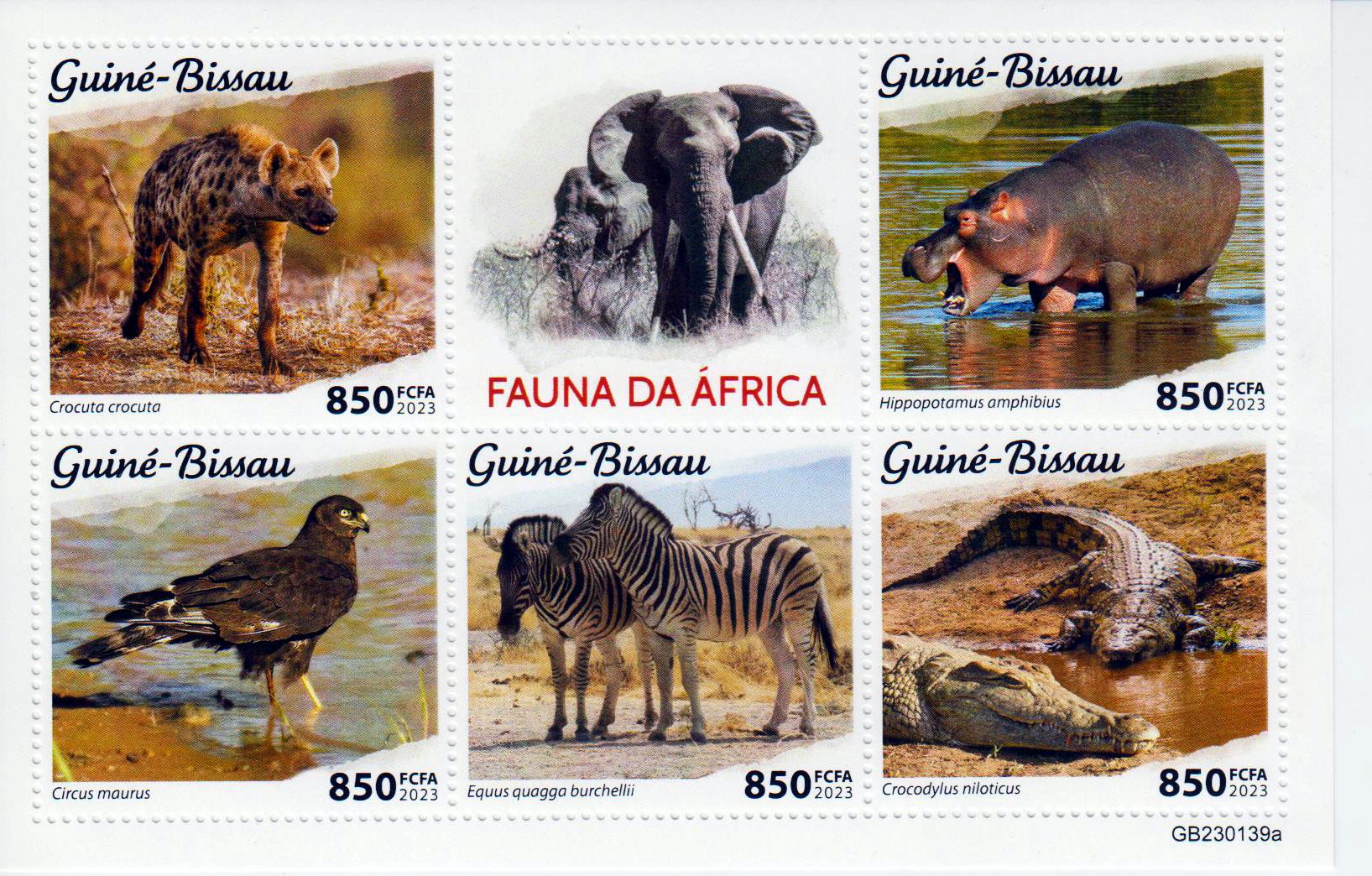 Afrikanische Fauna 2023, Zebra, Krokodil, Nilpferd