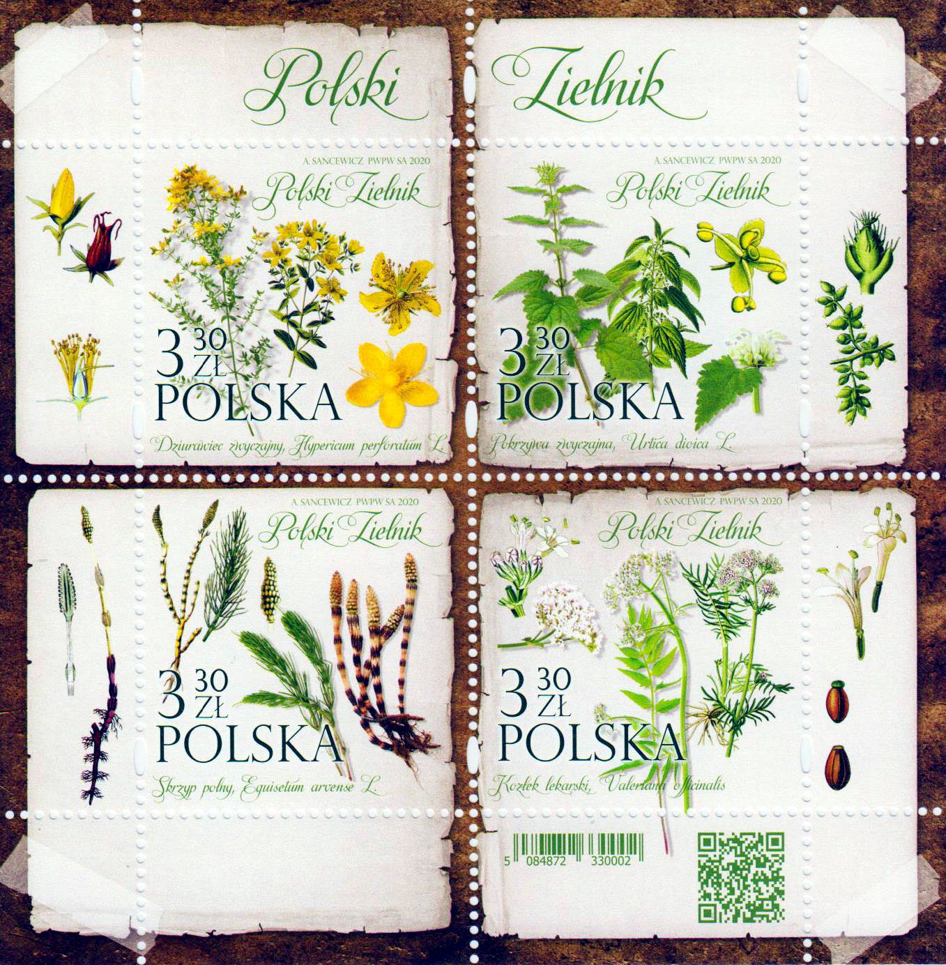 Block: Polnisches Herbarium, Pflanzen
