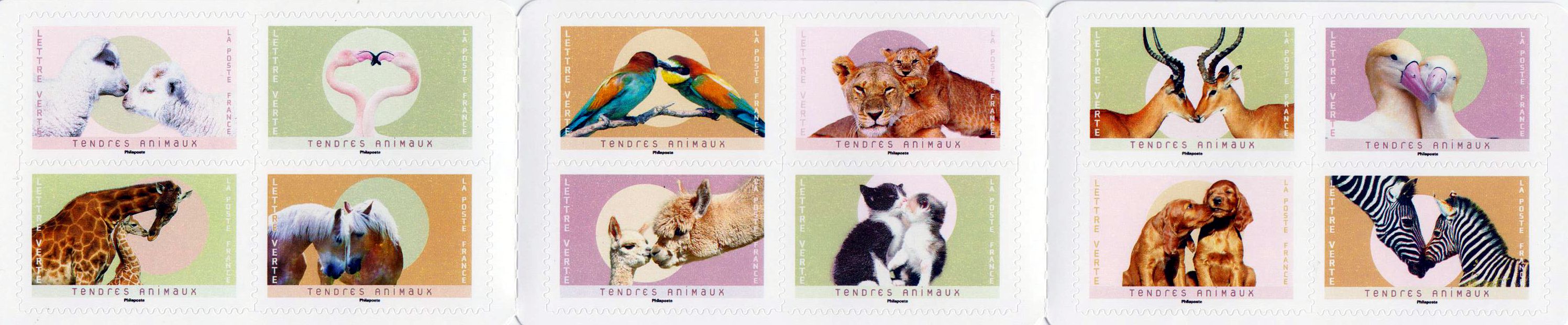 MH: Zärtliche Tiere 2023, sk