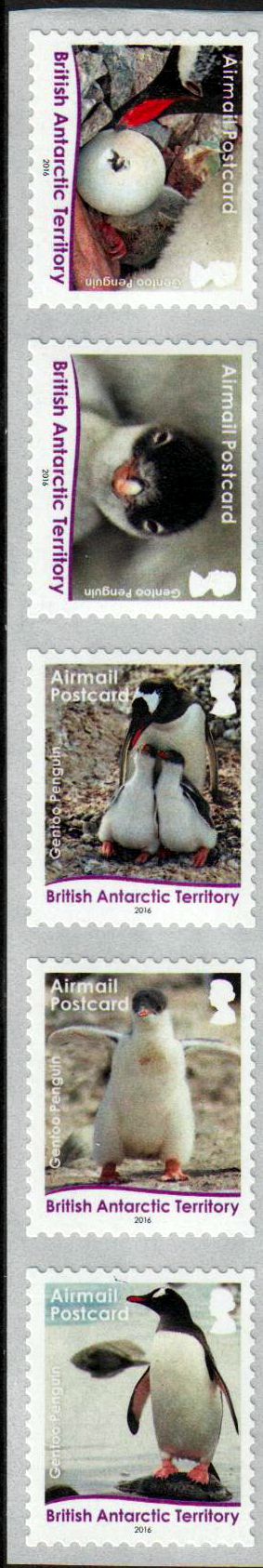 Pinguine 2016, sk, v. Rolle