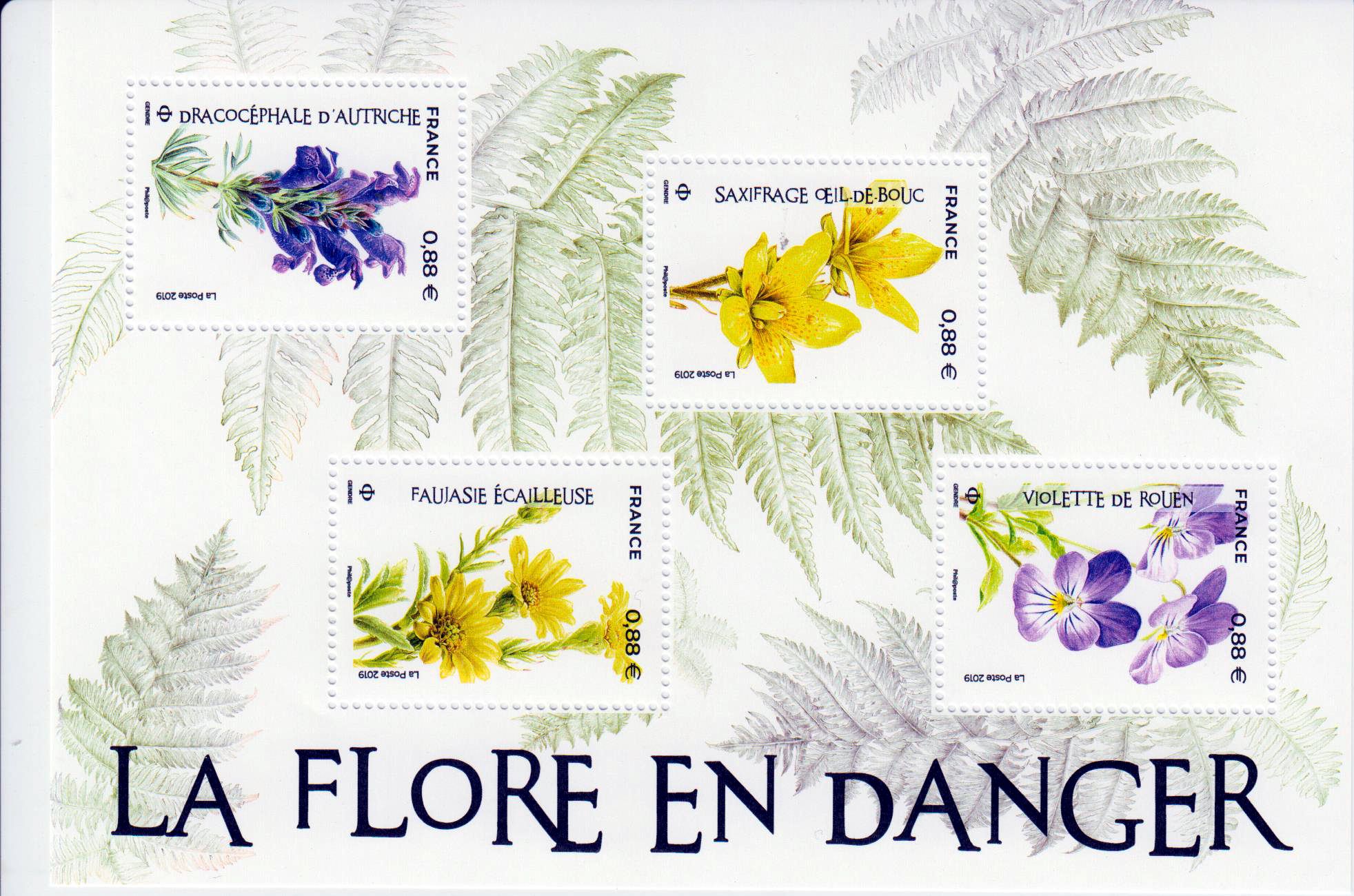 Block: Flora 2019, Blumen