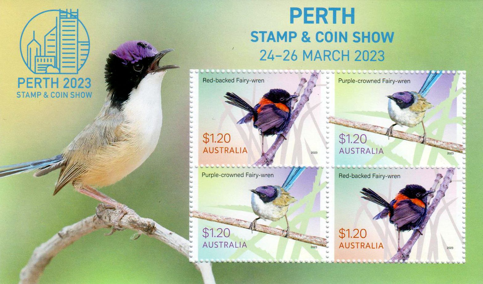 Block: Perth 2023, Zaunkönig