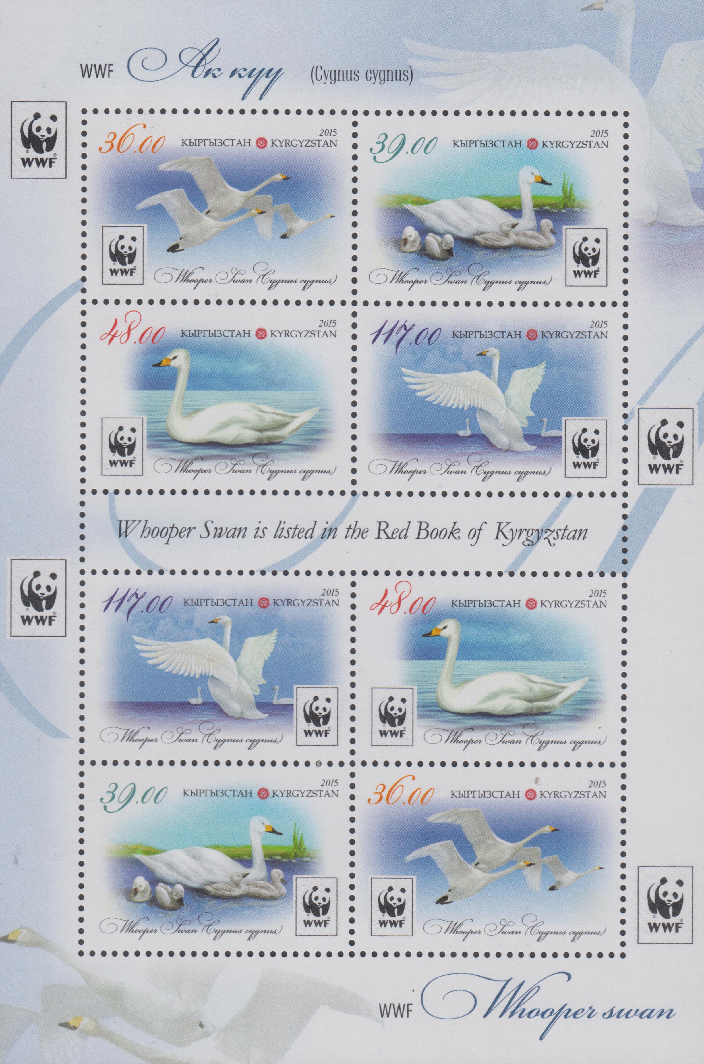 WWF Singschwan (15P22)