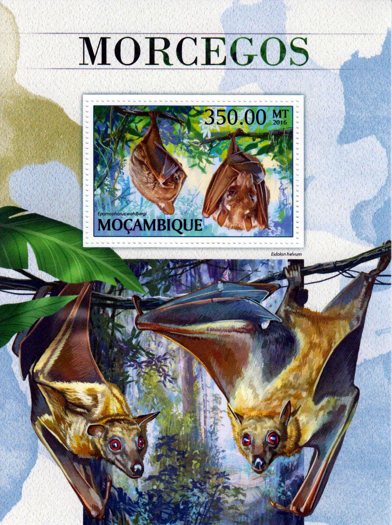 Block: Fledermäuse 2016
