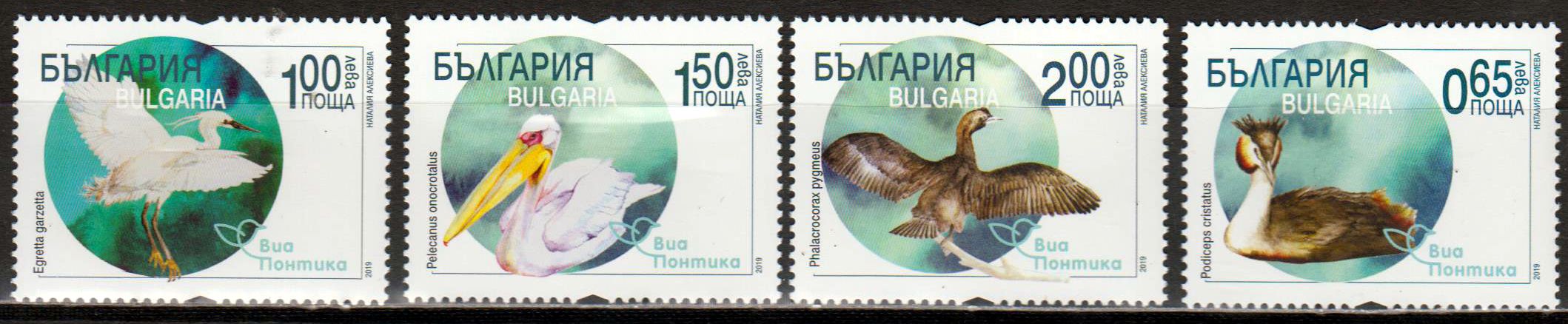 Vogelmigration im Via Pontica Gebiet 2019