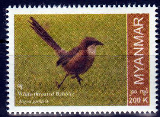 Endemische Vogelarten 2022