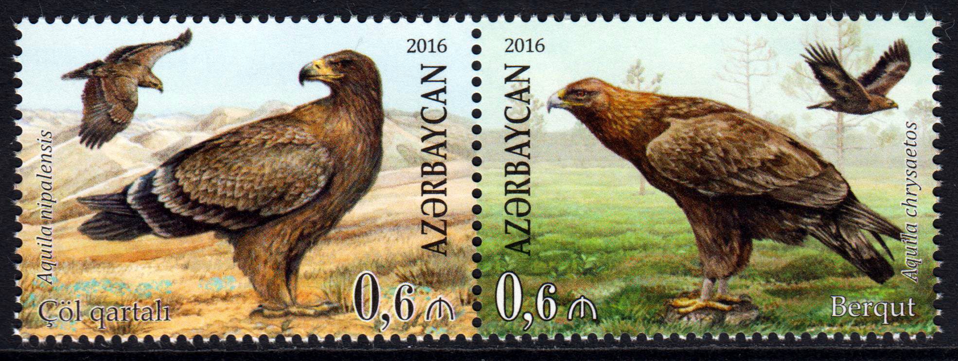 Adler, Weissrussland (P09) GA