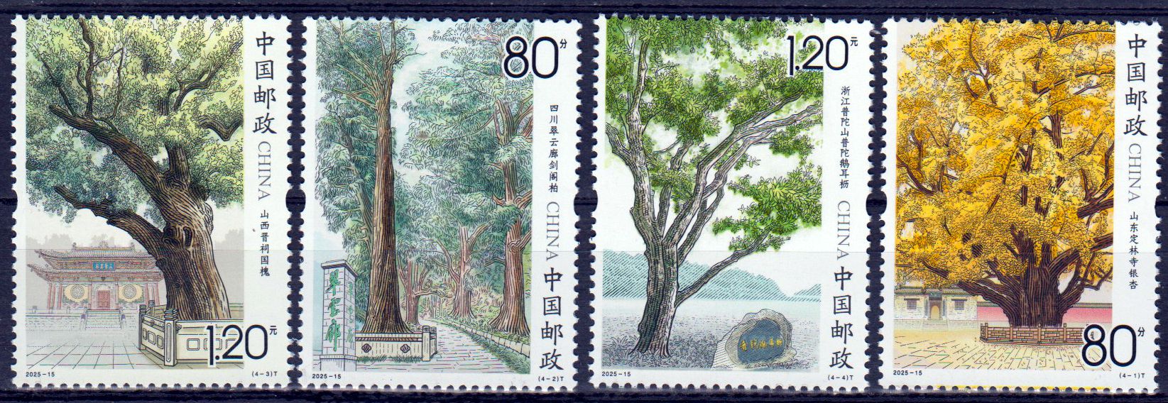 Alte und berühmte Bäume (2025-15)