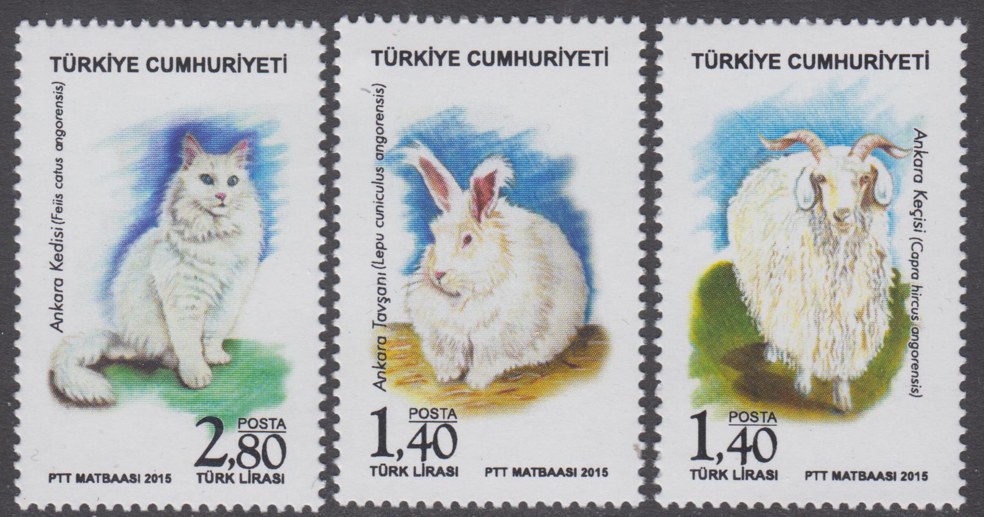 Tiere 2015, Hase, Katze, Ziege (15P33)
