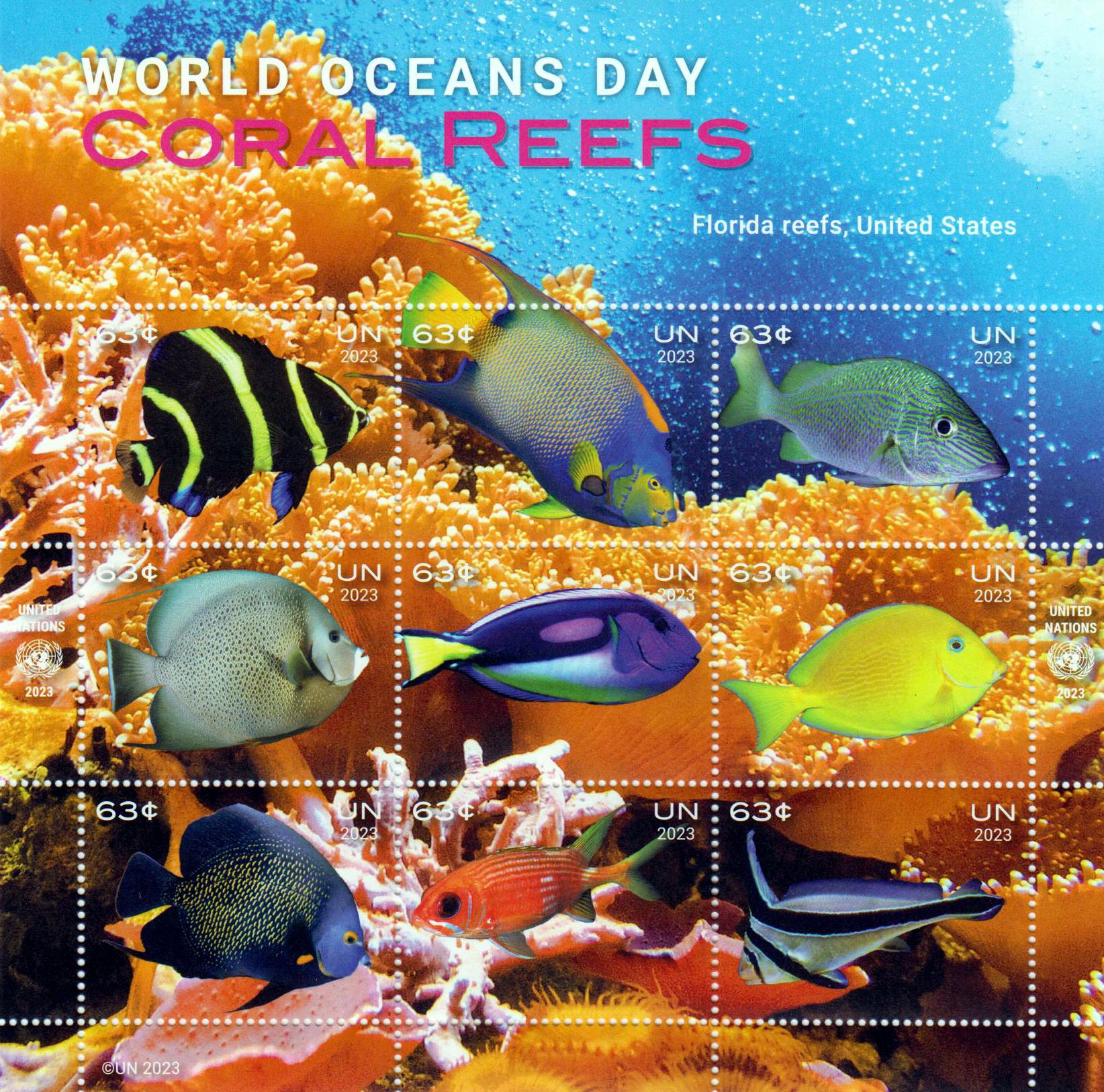 Zdr. Welttag der Ozeane 2023, Fische
