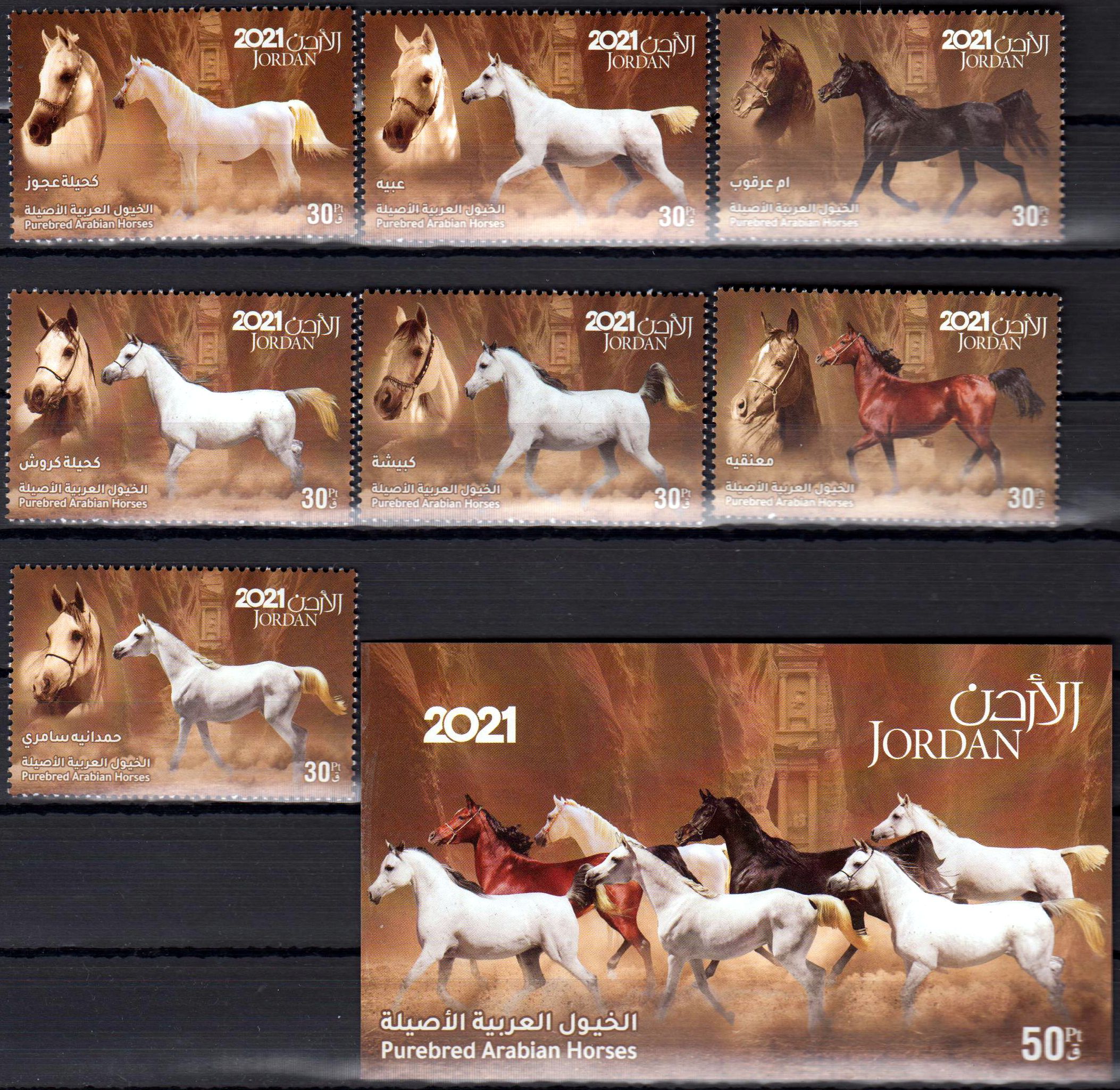 Arabische Pferderassen 2021, Satz & Block