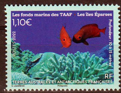 Le Fonds Marins 2022, Fische