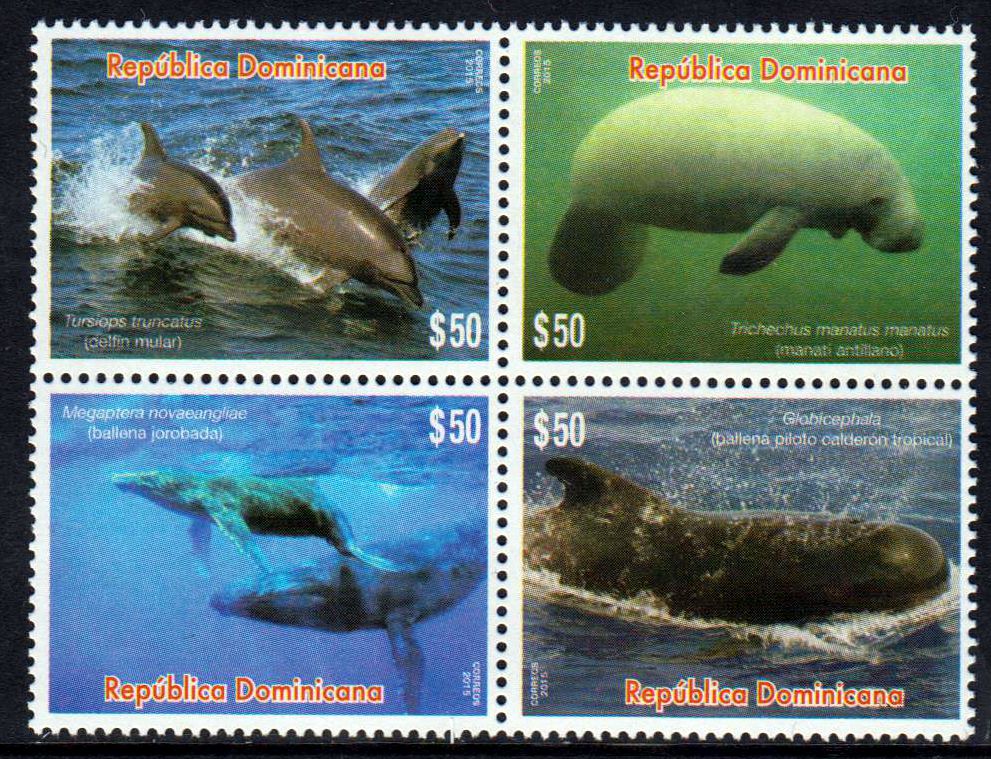 Zdr. Meereslebewesen, Delphin, Wal