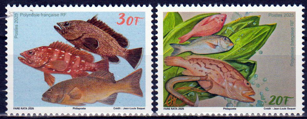 Fische 2025