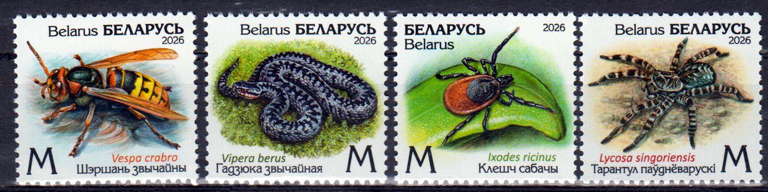 Gefährliche Tiere 2026, Schlange, Spinne, Zecke, Hornisse