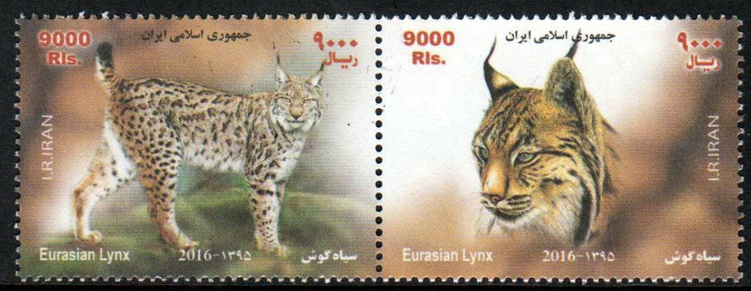 Zdr. Luchs 2016
