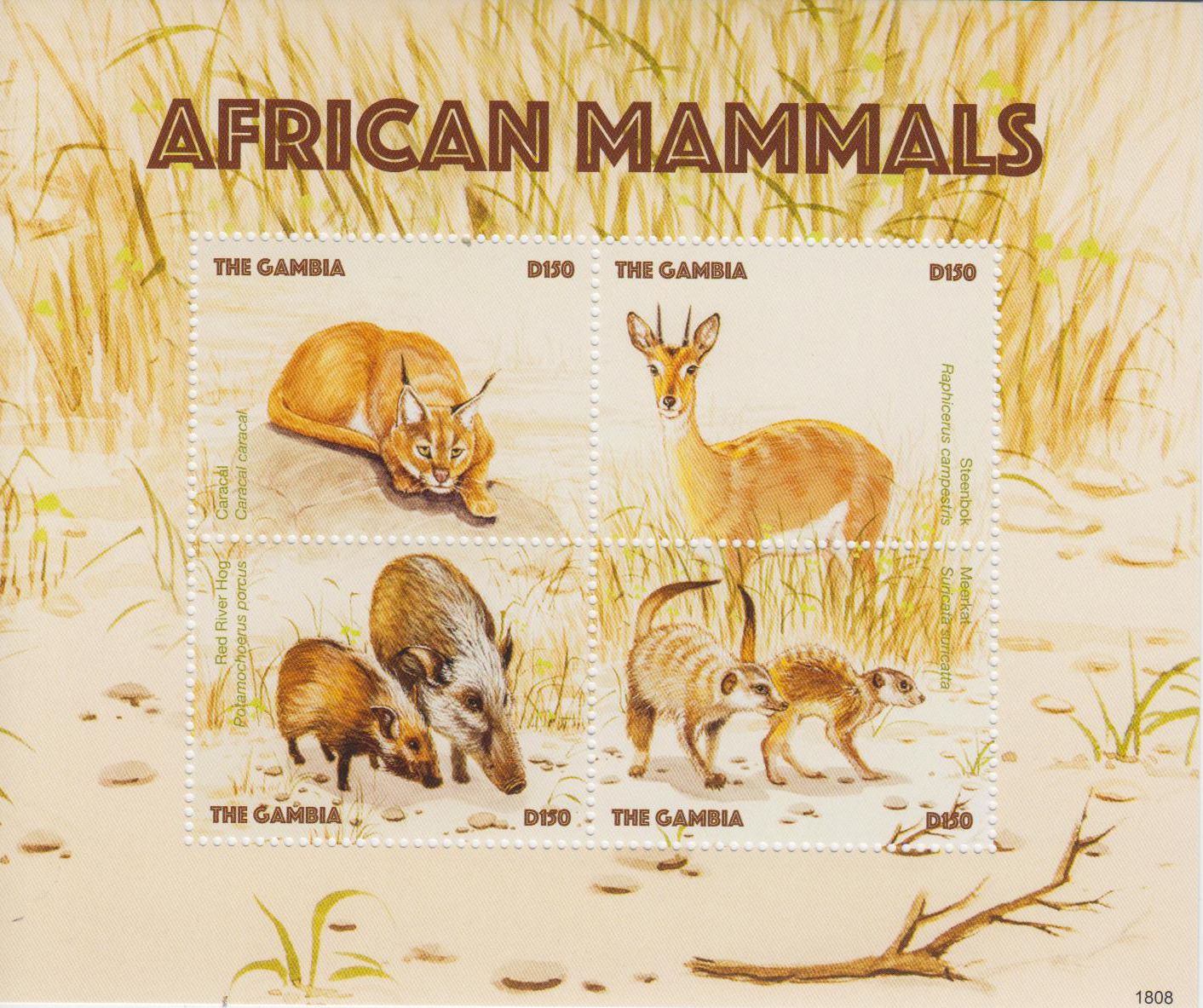 Afrikanische Säugetiere 2018