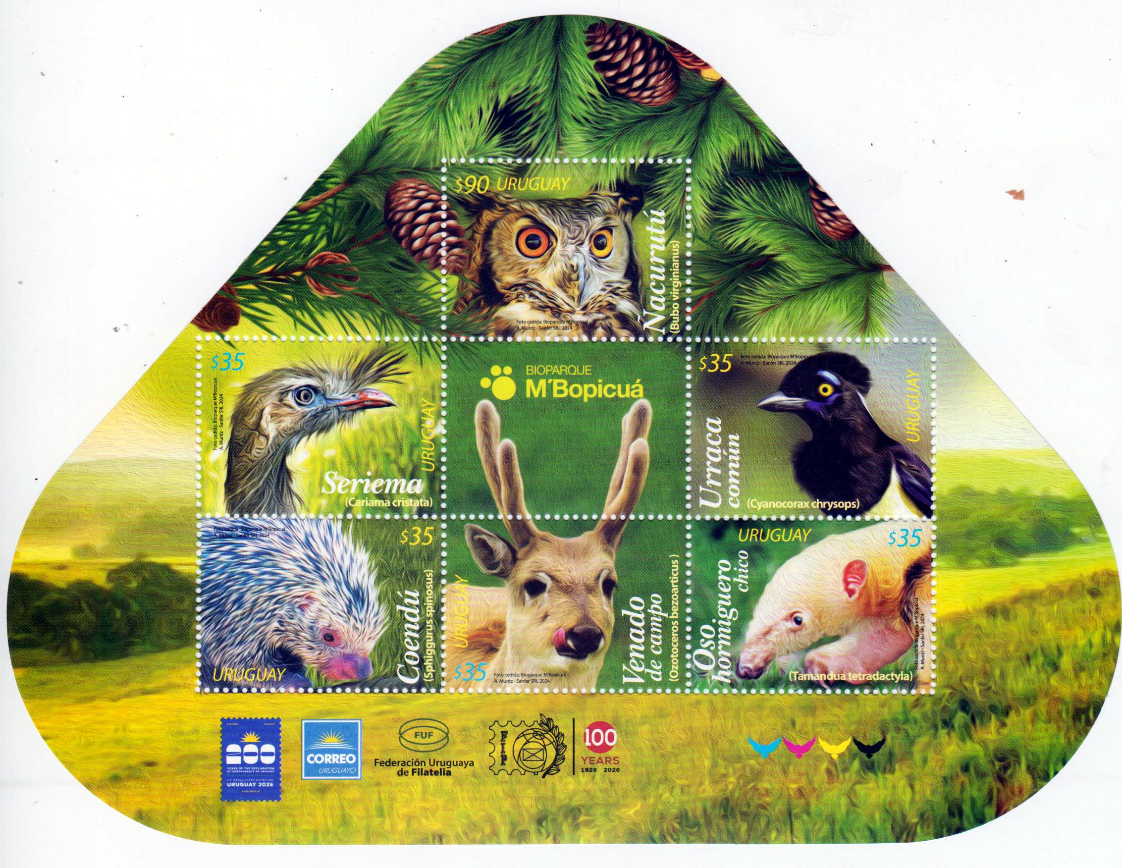 Block: Biopark Nacurutu 2024, Vögel, Tiere