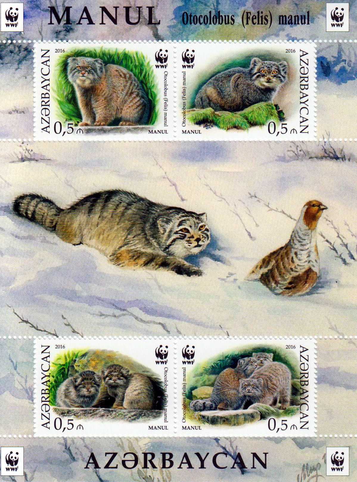 Block: WWF 2016, Manul, Wildkatze