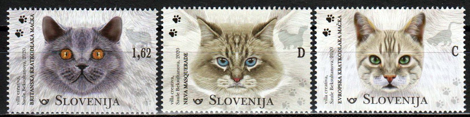 Katzen 2020