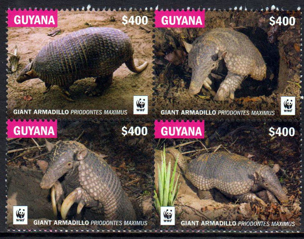 WWF Giant Armadillo 2016, Gürteltier