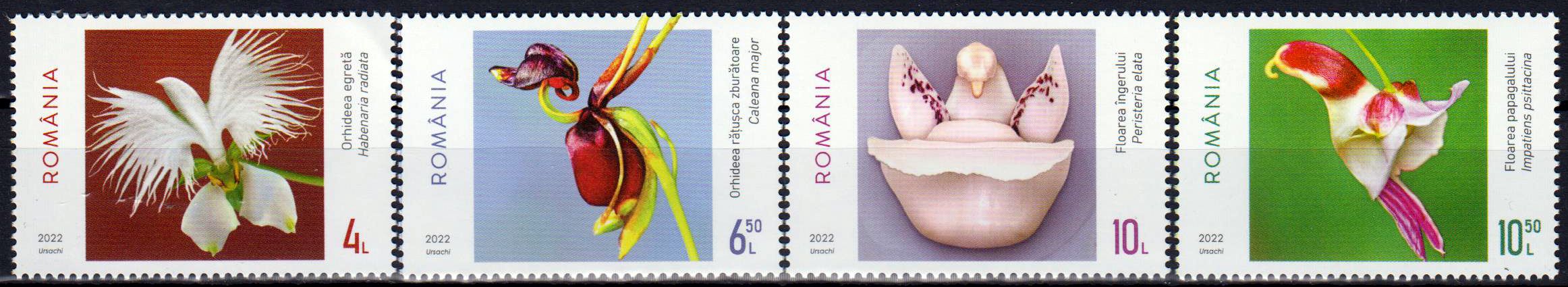 Fantasies of the Flora 2022