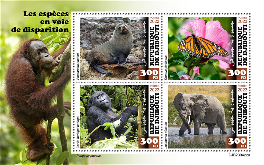 Gefährdete Tierarten 2023, Seekuh, Schmetterling, Gorilla, Elefant
