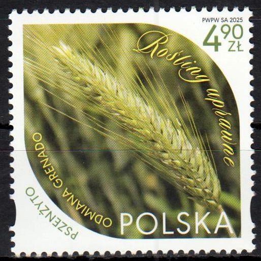 Kulturpflanzen cultivated plants 2025, Weizen