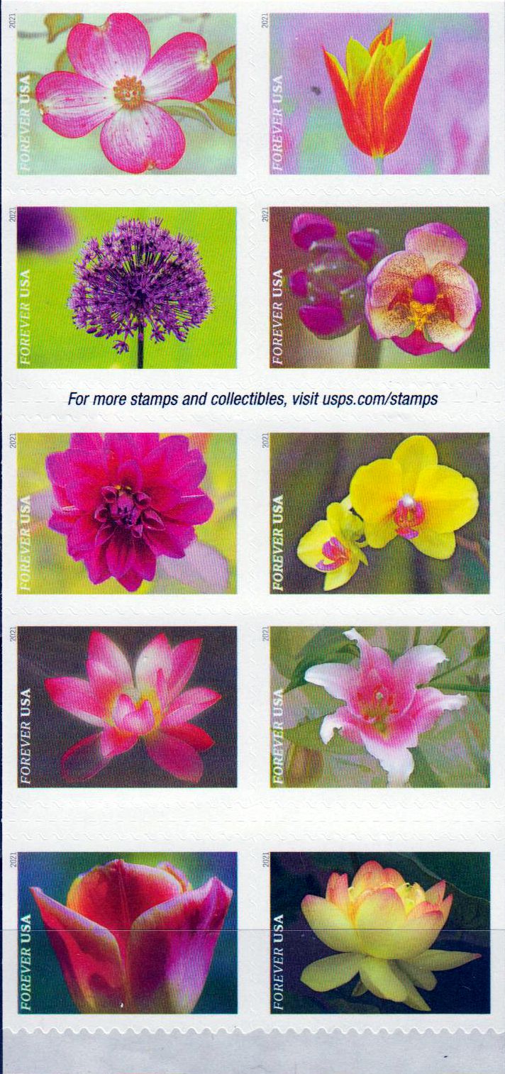 Garden Beauty 2021, sk.a.MH