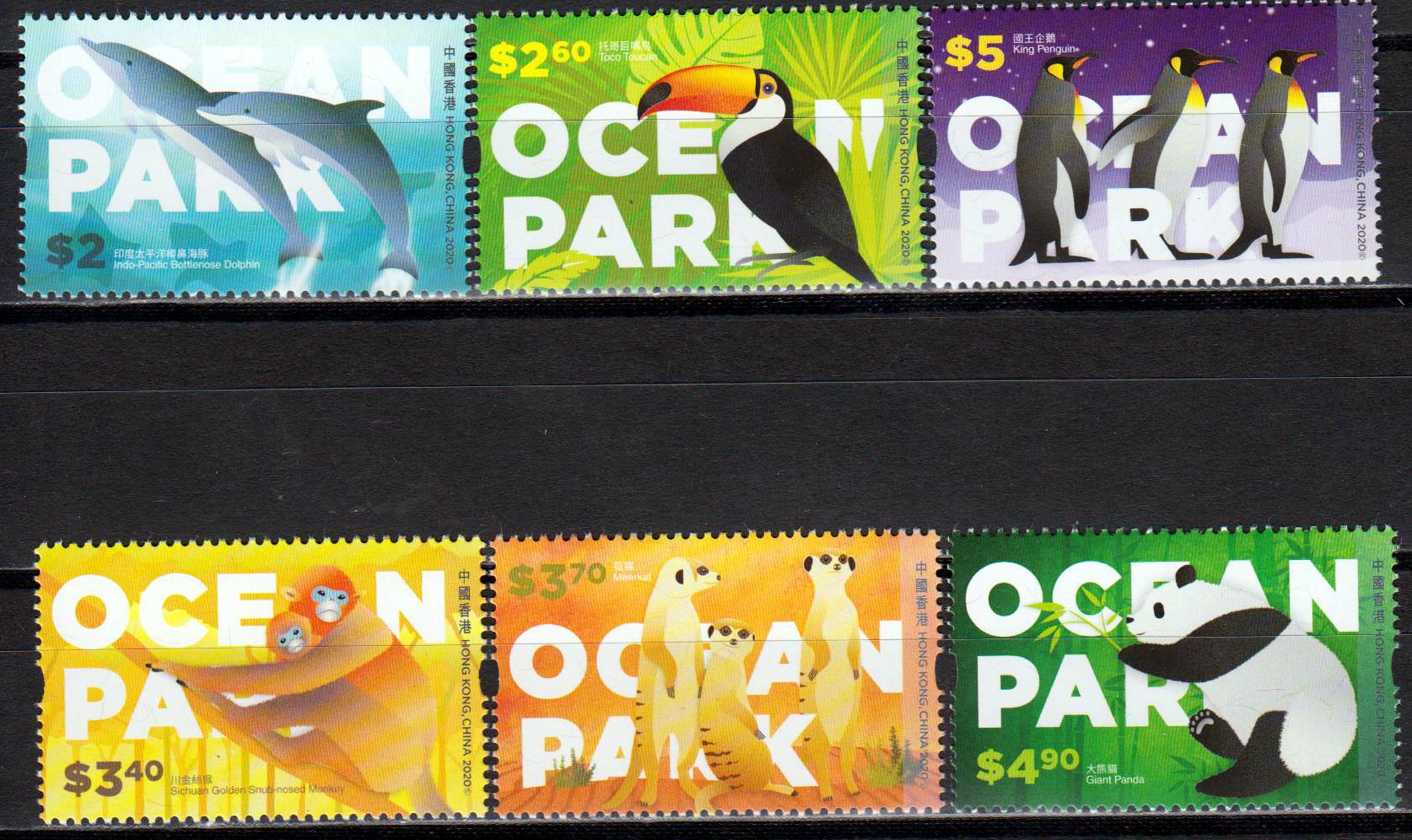 Ocean Park Hongkong 2020, Tiere