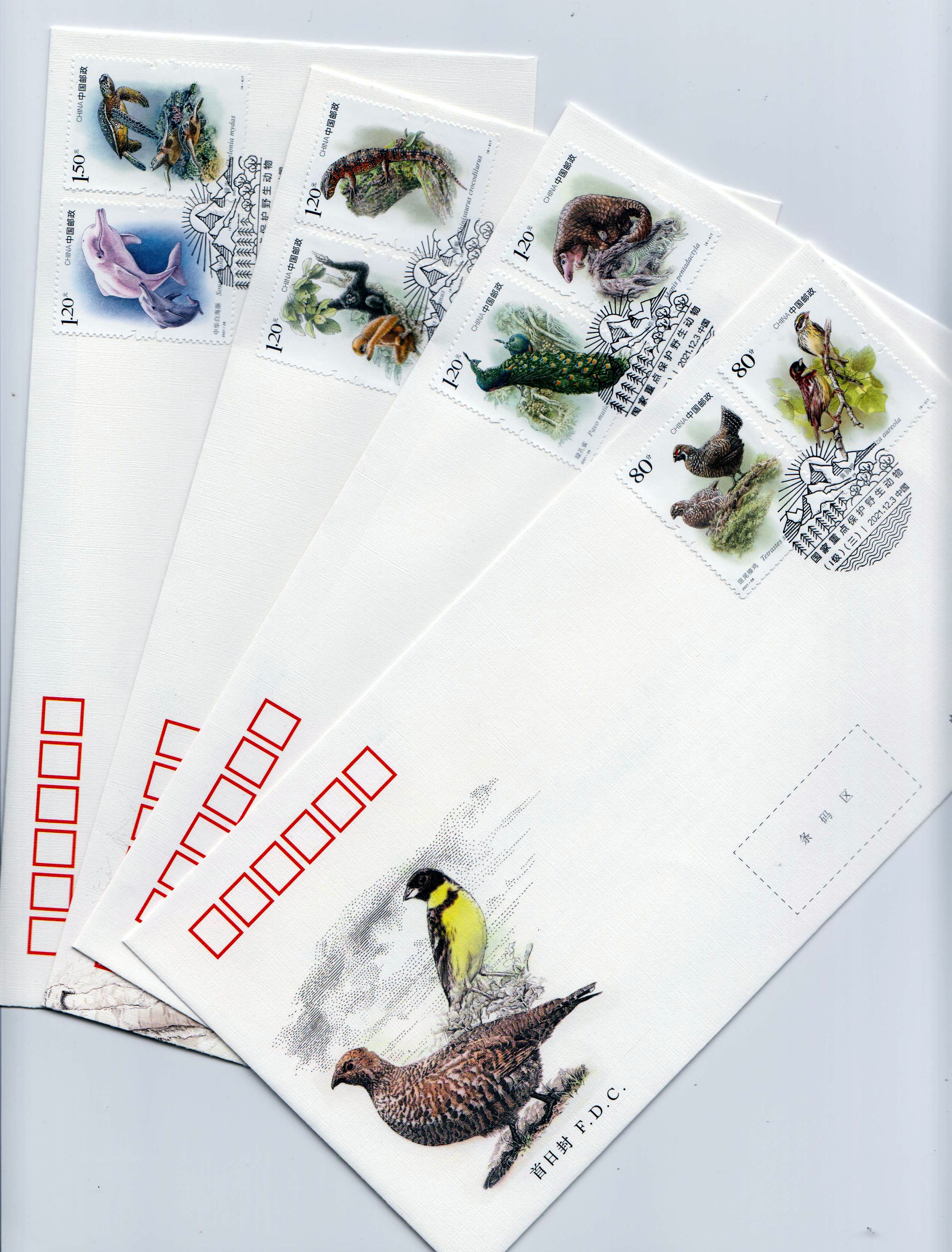 Wildtiere, Vögel, Schildkröte, Delfin (2021-28)