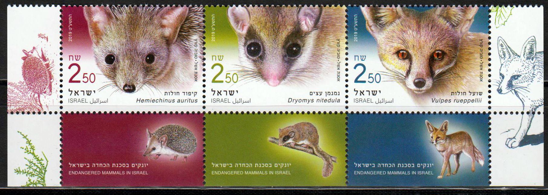 Gefährdete Säugetiere 2019, Rüppelfuchs, Baumschläfer, Langohrigel