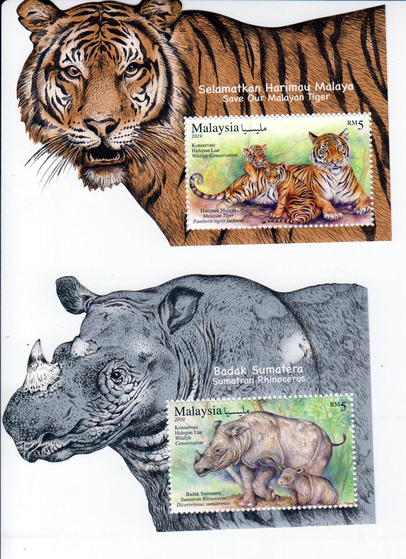 Block: Wildtierschutz 2019, Tiger, Nashorn