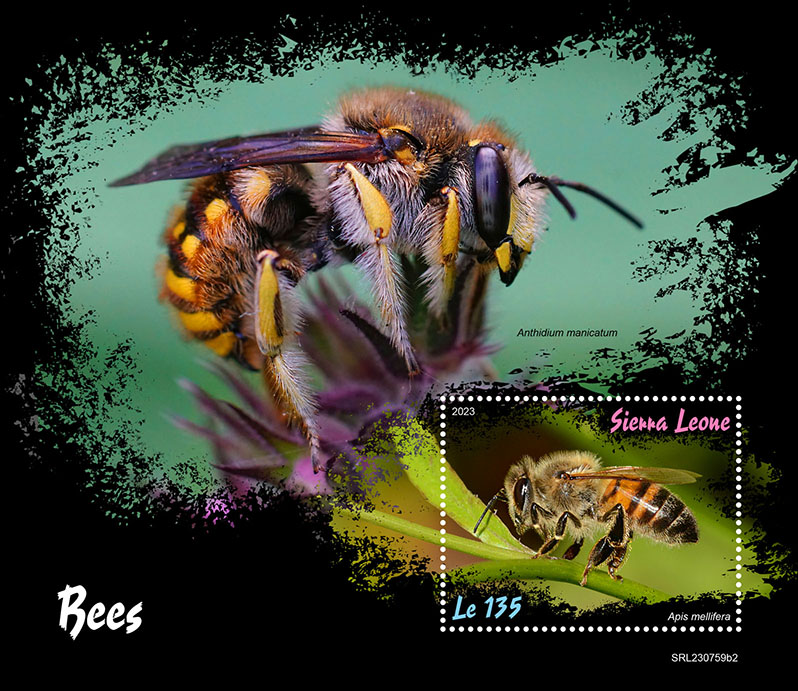 Block: Bienen 2023 II