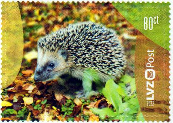 Herbstboten 2022, Igel