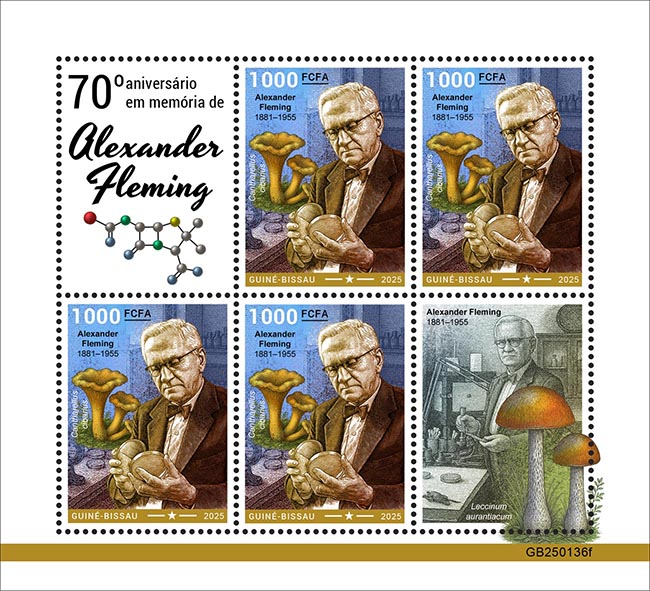 70. Gedenktag Alexander Fleming 2025
