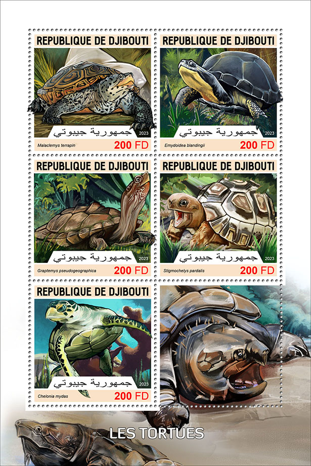 Schildkröten 2023