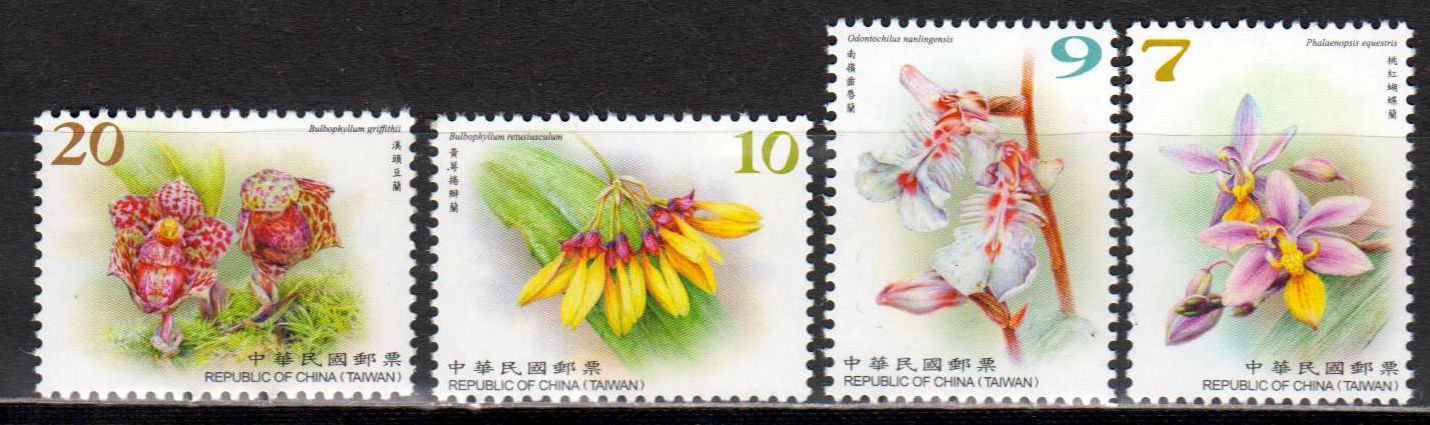 Dauer: Wilde Orchideen