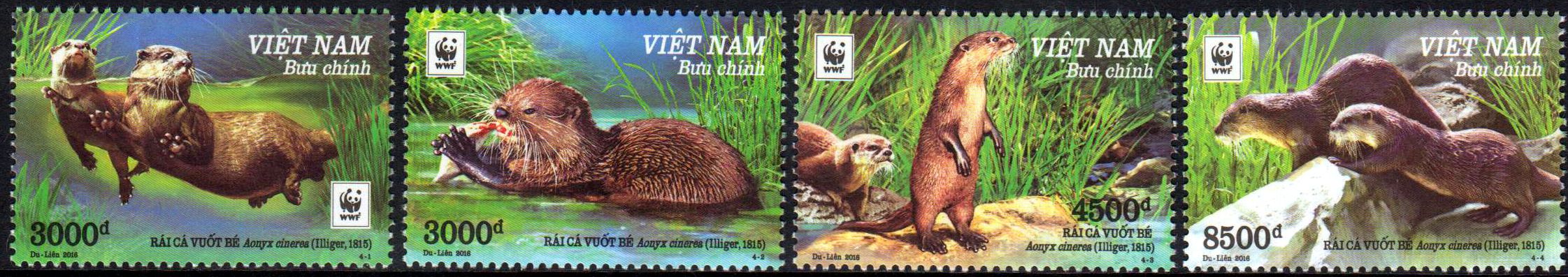 WWF 2016, Otter