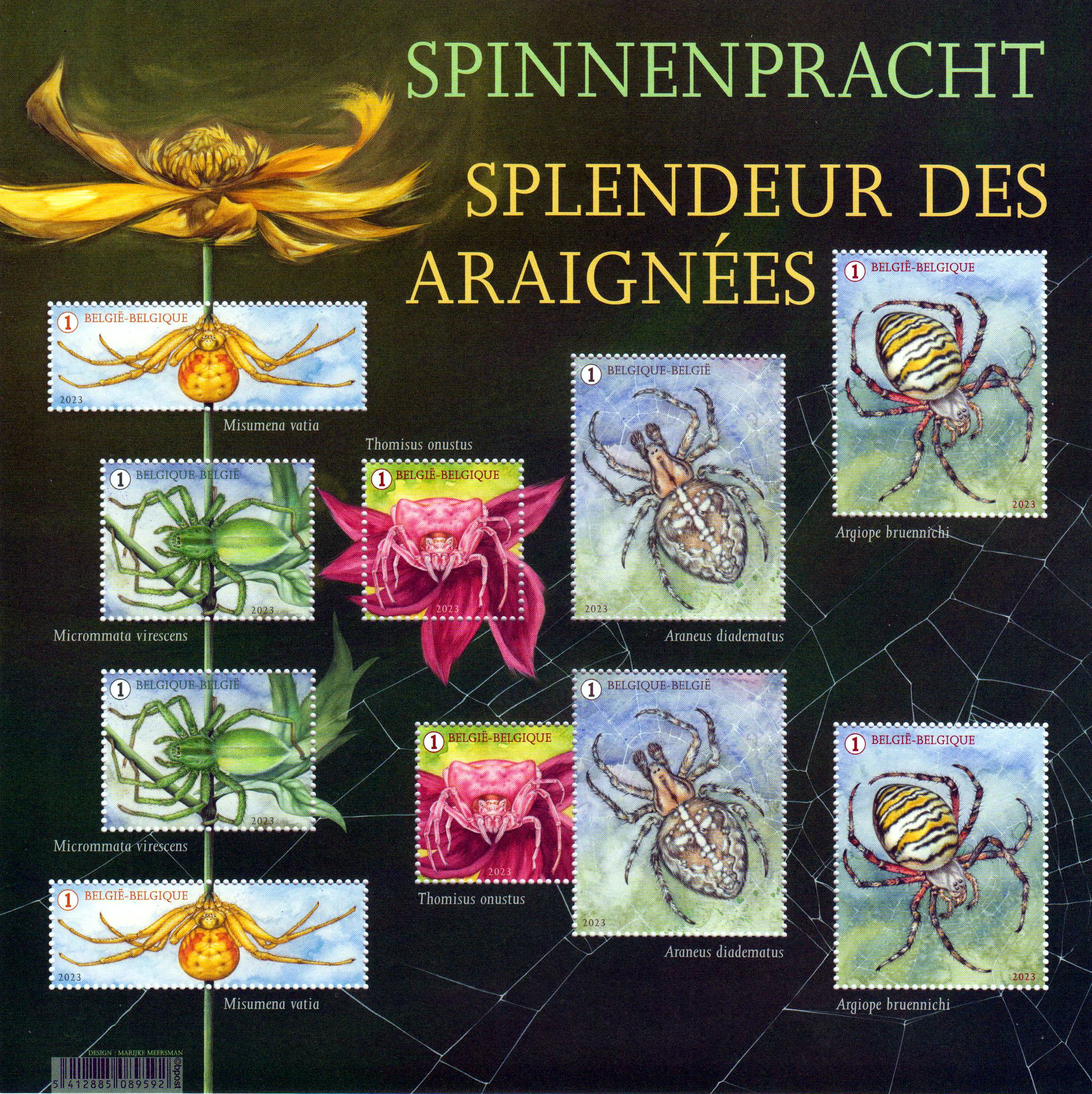 Spinnenpracht 2023