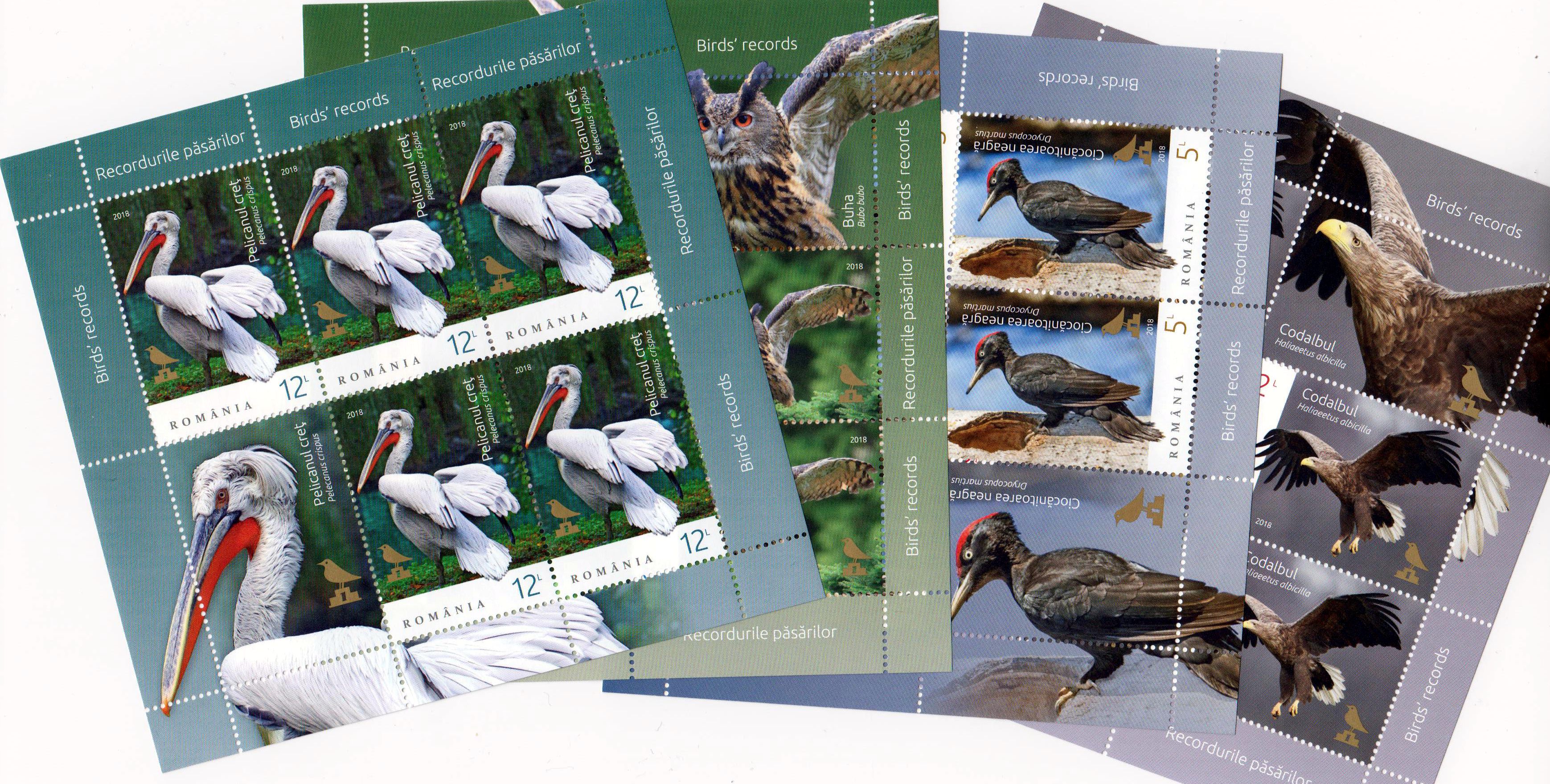 Vögel 2018, Adler, Specht, Eule, Pelikan