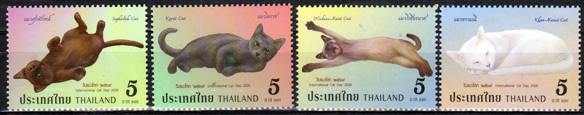 Internationaler Katzentag 2026