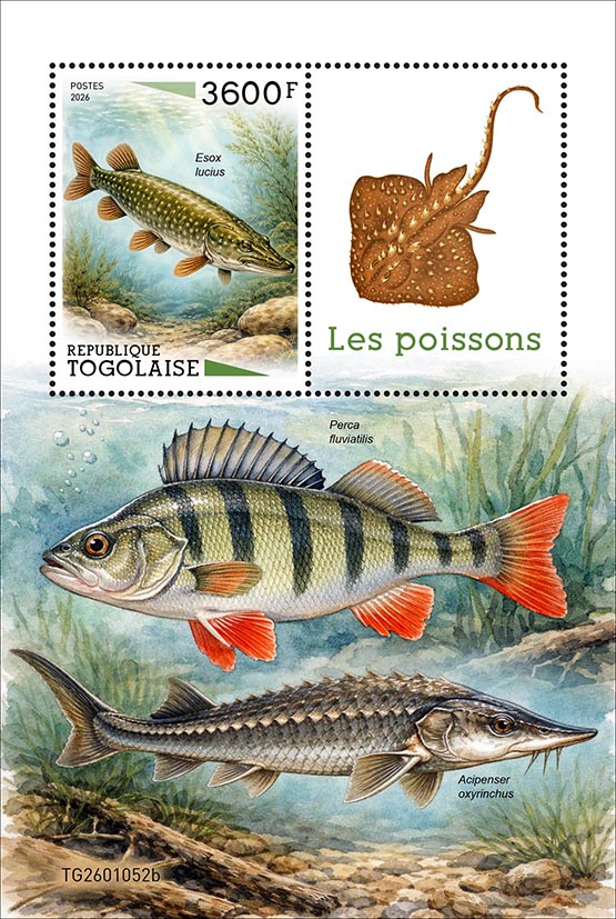 Block: Fische 2026
