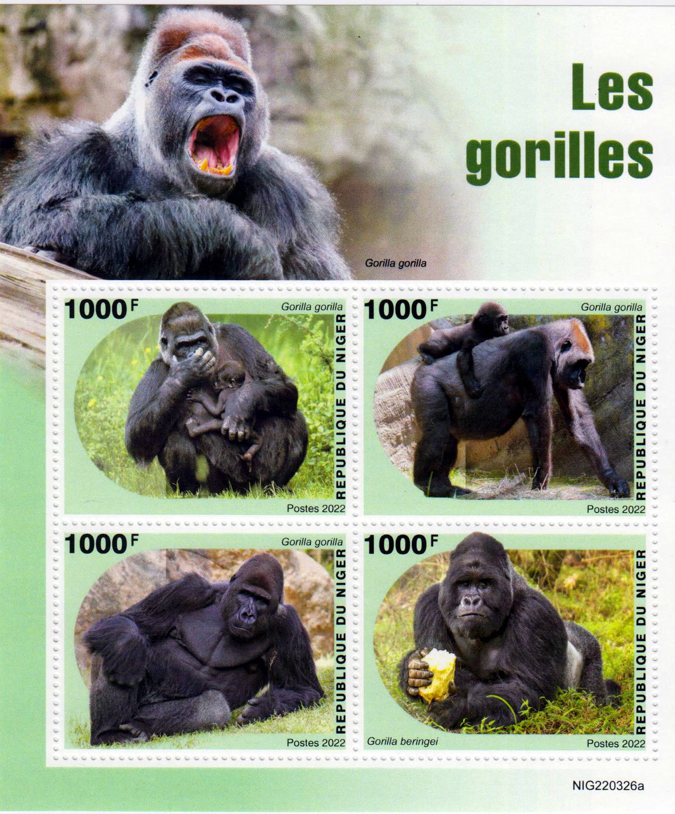 Gorillas 2022