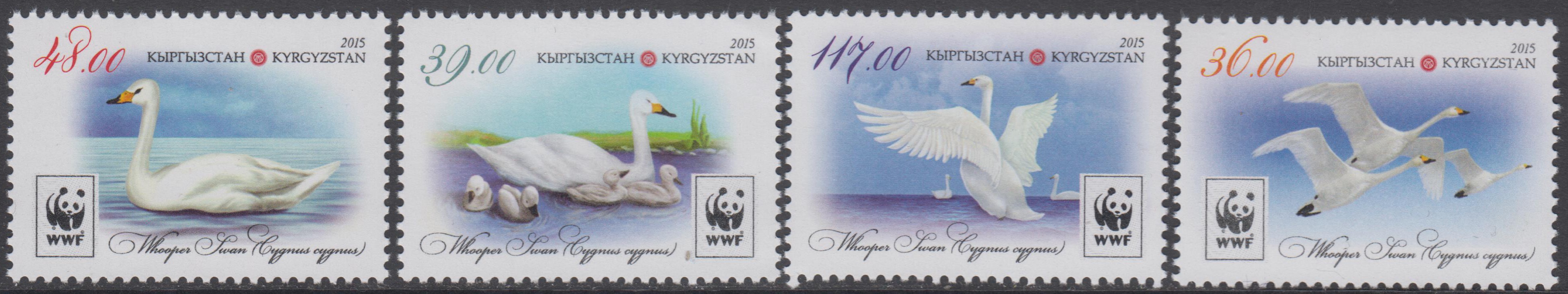 WWF 2015, Singschwan (15P22)