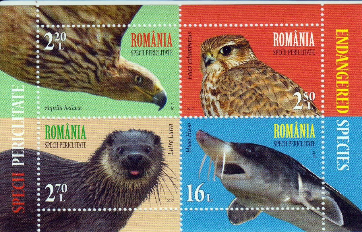 Block: Gefährdete Tiere